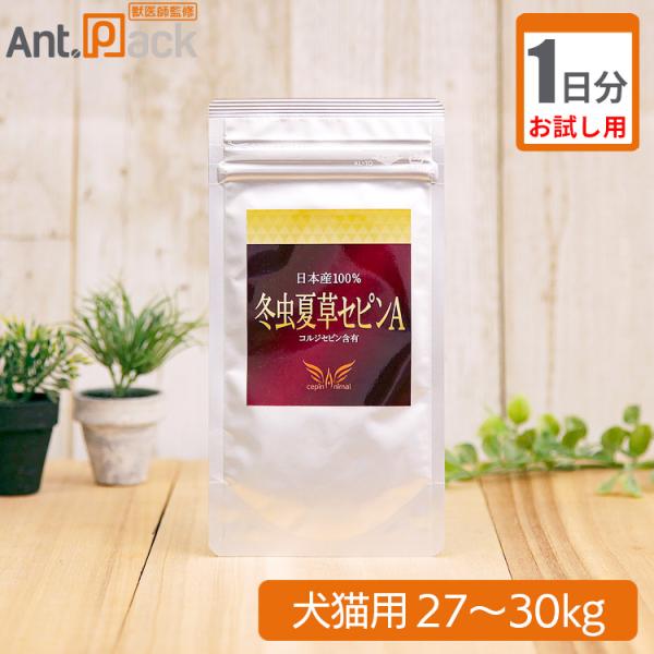 【お試し1日分】冬虫夏草 セピンA 犬猫用 体重27kg~30kg 1日1g