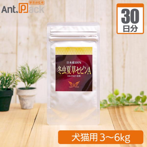 冬虫夏草 セピンA 犬猫用 体重3kg~6kg 1日0.2g30日分