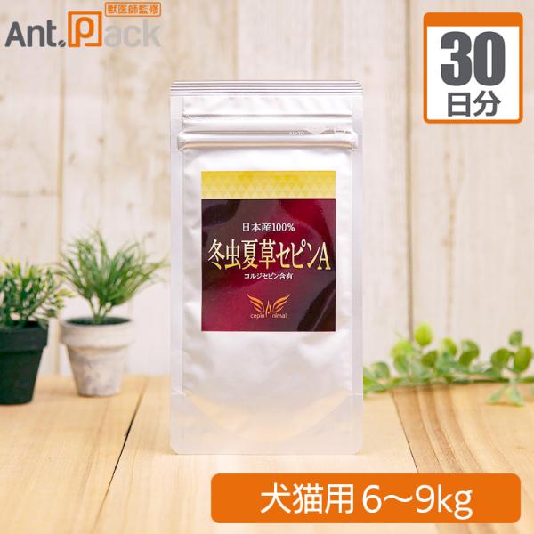 冬虫夏草 セピンA 犬猫用 体重6kg~9kg 1日0.3g30日分