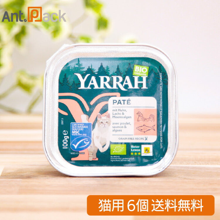 ヤラー サーモンと海藻のキャットパテ 猫用 100g×6個(01133)