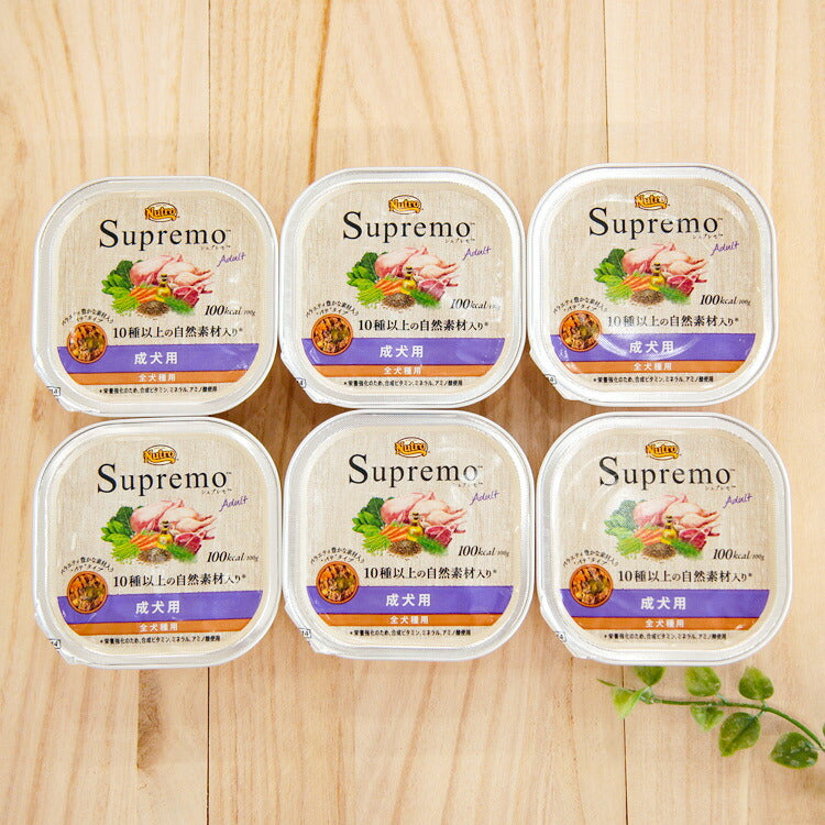 ニュートロ シュプレモ 成犬用 トレイ 100g×6個 【送料無料】(63434)