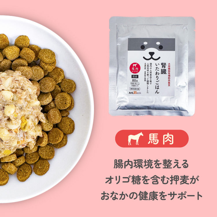 (リニューアル)腎臓いたわりごはん 馬肉 犬用 80g×12袋 【送料無料】(50563)
