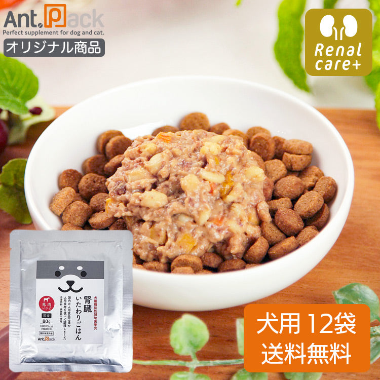 (リニューアル)腎臓いたわりごはん 馬肉 犬用 80g×12袋 【送料無料】(50563)
