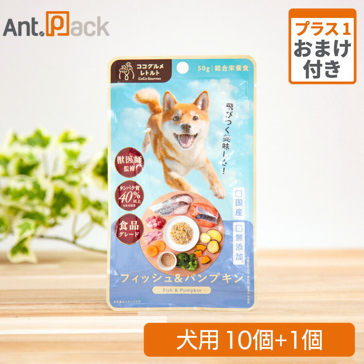 ココグルメ・レトルト フィッシュ&パンプキン 犬用 50g×10個+おまけ1個(52091)