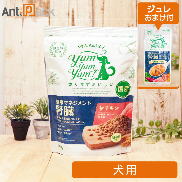 Yum Yum Yum! 健康マネジメント腎臓 チキン 犬用 500g+ジュレのおまけ付き(ヤムヤムヤム)(59556)