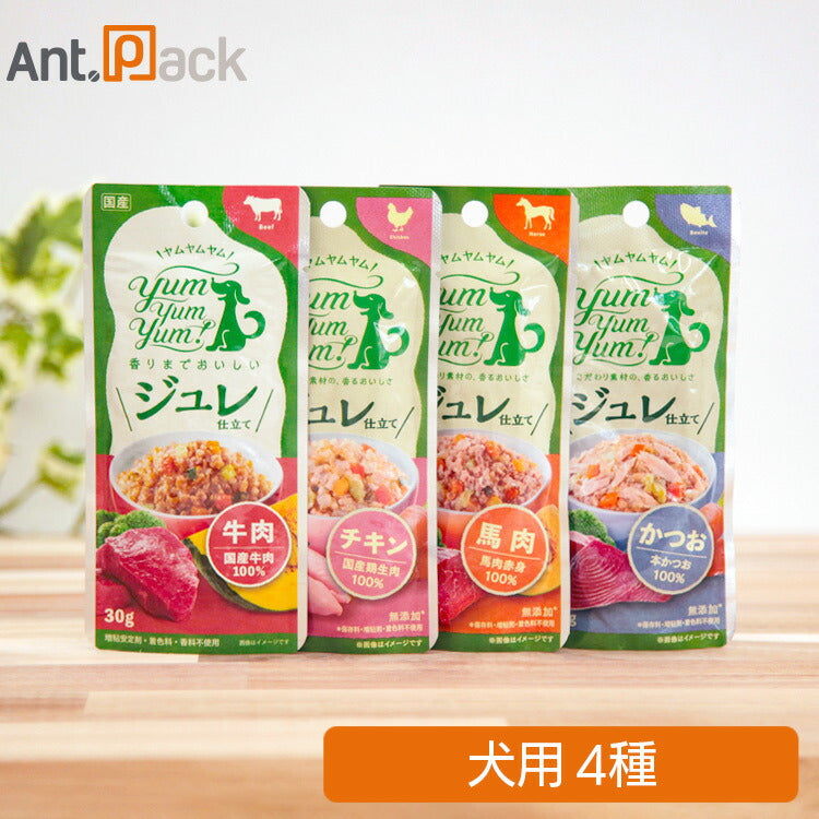 Yum Yum Yum! ジュレ仕立て 犬用 アソート4種セット (チキン・かつお・馬肉 ・牛30g×各1個)