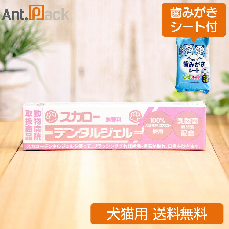 (歯みがきシートおまけ付)山一化学 スカローデンタルジェル 無香料 犬猫用 40g
