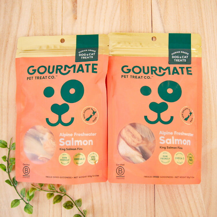 グルメイト フリーズドライトリーツ アルパインサーモン 犬猫用 100g×2個+アンチトリプル10日分(37041)