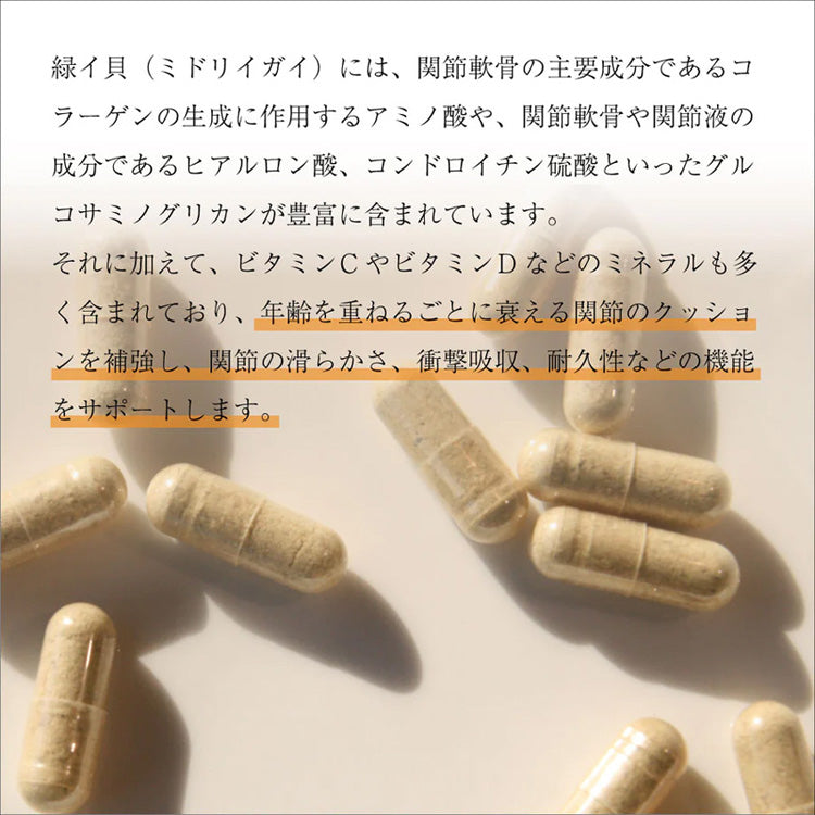 ニュートライプ GLMサプリ 犬猫用