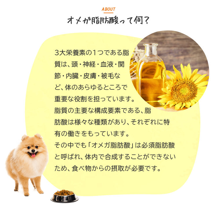 1day(ワンデー) オメガ 犬猫用 1包(個包装)