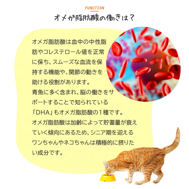 1day(ワンデー) オメガ 犬猫用 1包(個包装)