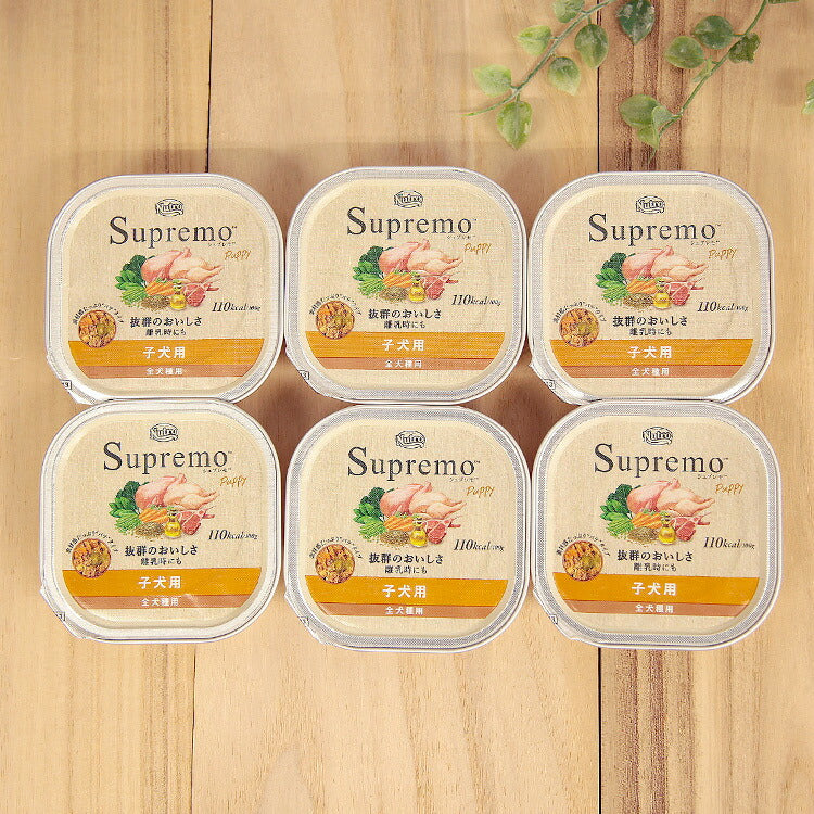 ニュートロ シュプレモ 子犬用 トレイ 100g×6個 【送料無料】(4902397861089)