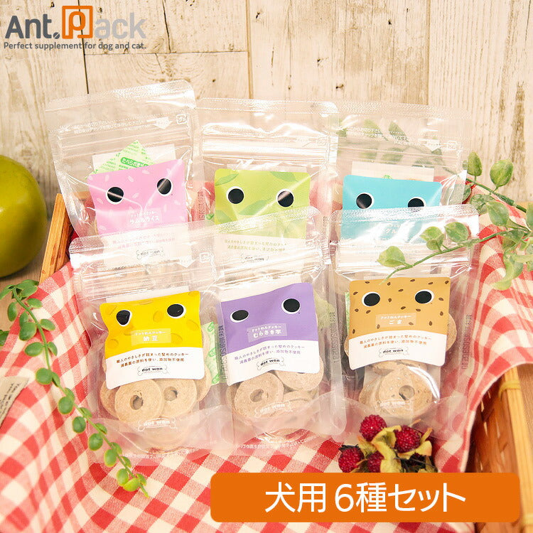 ドットわんクッキー 詰め合わせヘルシー6点セット 【送料無料】