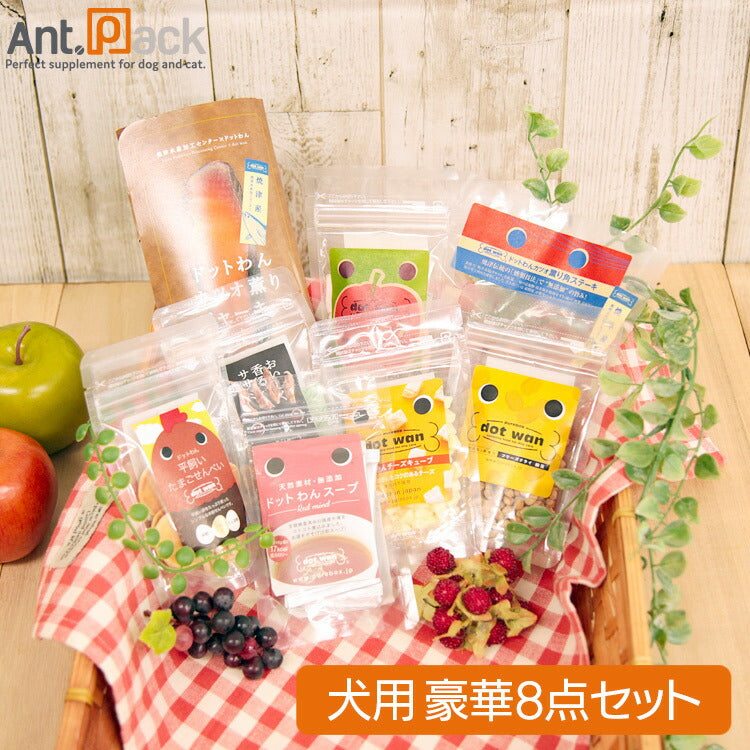 ドットわん 豪華わくわく8点セット 【送料無料】