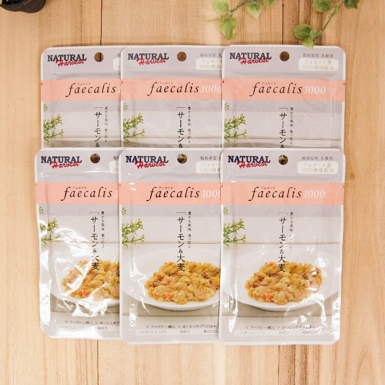 ナチュラルハーベスト フェカリス1000 サーモン&大麦 犬用 50g×6個 (06458)