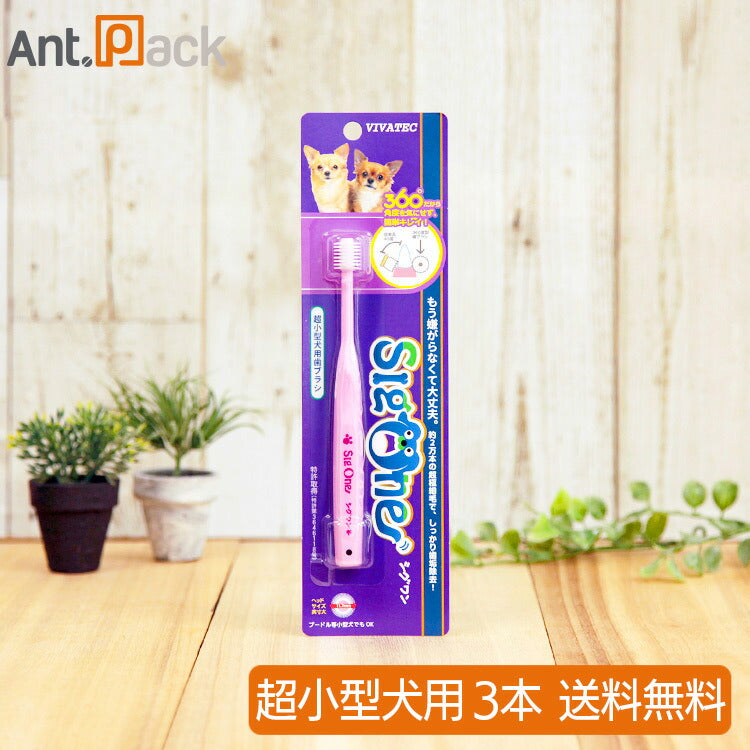 シグワン 超小型犬用 歯ブラシ ピンク×3本 (00353)