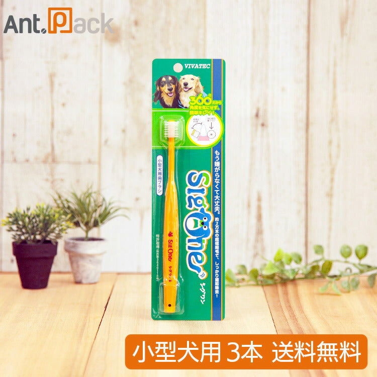 シグワン 小型犬用 歯ブラシ オレンジ×3本 (00315)