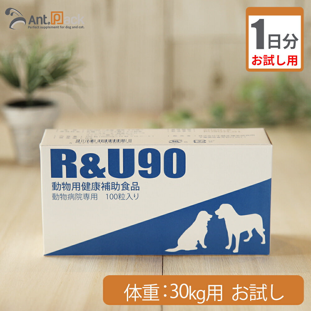 【お試し1日分】 共立製薬 R&U90 犬用 体重30kg用 1粒