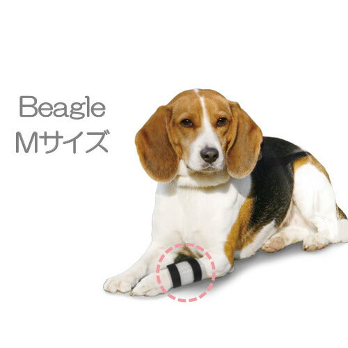 ファンタジーワールド IV カテーテルガード M(小~中型犬)(00212)