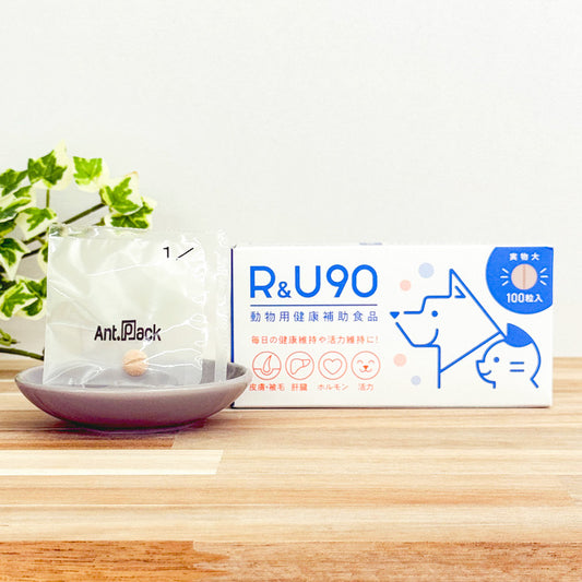 共立製薬 R&U90 犬用