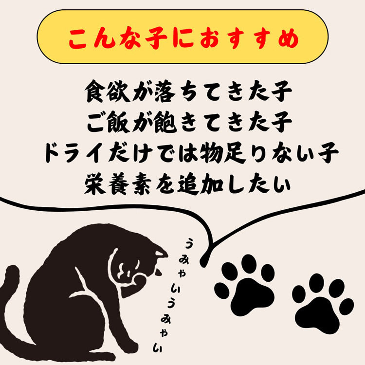 猫一番 猫のための漁師飯 (パウダー付き) 約80g×3個 ※季節によってお魚が変更になります。（44046）