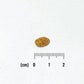 NATURAL BALANCE ナチュラルバランス LID RESERVE 成猫用 ダック&グリーンピースレシピ 800g（86645）（賞味期限：2026年7月22日）