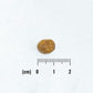 NATURAL BALANCE ナチュラルバランス LID 成猫用 サーモン&グリーンピースレシピ 800g（86621）（賞味期限：2026年7月19日）