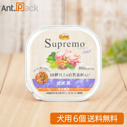 ニュートロ シュプレモ 成犬用 トレイ 100g×6個 【送料無料】(63434)