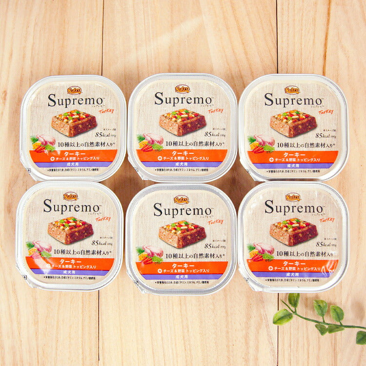 ニュートロ シュプレモ ターキー 成犬用 トレイ 100g×6個 [チーズ&野菜 トッピング入り] 【送料無料】(63526)