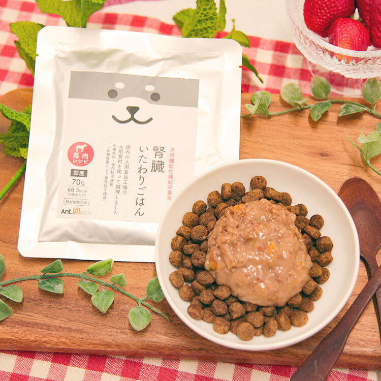 腎臓いたわりごはん 馬肉 犬用 70g×12袋 【送料無料】（50563）