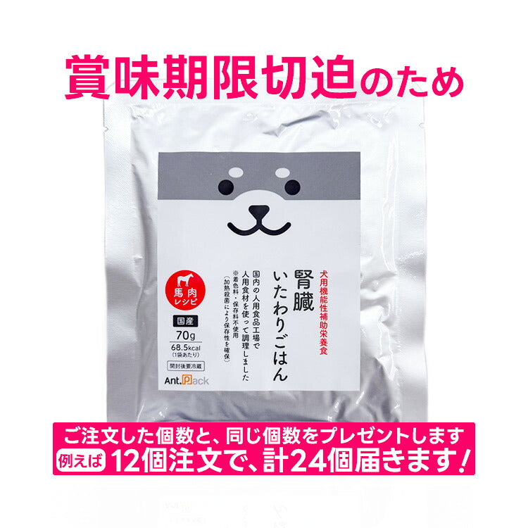 【購入数×2キャンペーン】腎臓いたわりごはん 馬肉 犬用 70g×6袋（50563）（賞味期限：2026年12月1日）