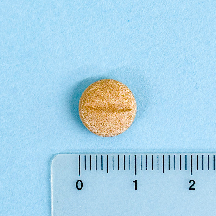 共立製薬 R&U90 犬用