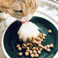 「食べるお水」 ジュレッタ Plus+ 下部尿路ケア 2種セット（チキン・豚レバー）犬猫用 各3包(24食分)
