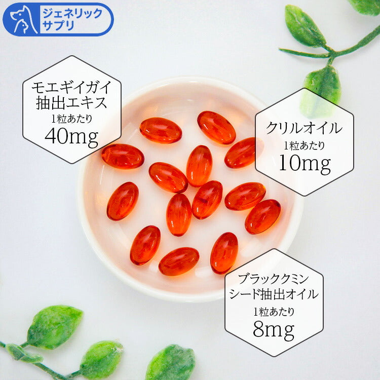 グルメイト フリーズドライトリーツ オーガニック ミニ・緑イ貝 犬猫用 25g×2個＋アンチトリプルお試し10日分（37201）