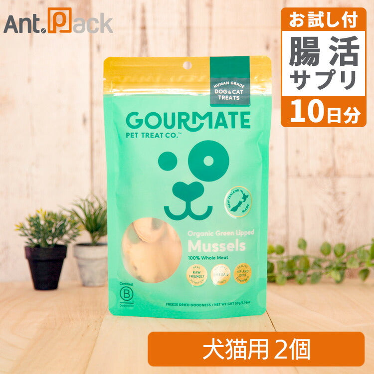 グルメイト フリーズドライトリーツ オーガニック 緑イ貝 犬猫用 50g×2個＋腸元気ケストースタブお試し10日分（37003）