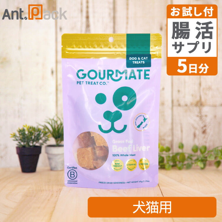 グルメイト フリーズドライトリーツ グラスフェッド ビーフレバー 犬猫用 65g＋腸元気ケストースタブお試し5日分（37010）