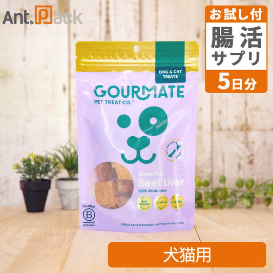 グルメイト フリーズドライトリーツ グラスフェッド ビーフレバー 犬猫用 65g＋腸元気ケストースタブお試し5日分（37010）