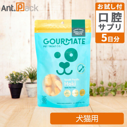 グルメイト フリーズドライトリーツ ホキ(白身魚) 犬猫用 45g＋セラプトfm（タブレット）5日分（37034）