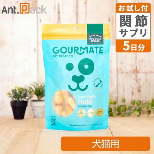 グルメイト フリーズドライトリーツ ホキ(白身魚) 犬猫用 45g＋アンチトリプル5日分（37034）