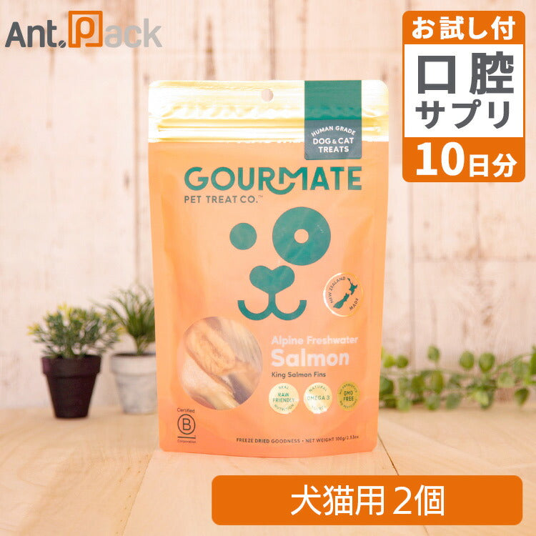 グルメイト フリーズドライトリーツ アルパインサーモン 犬猫用 100g×2個＋セラプトfm（タブレット）10日分（37041）