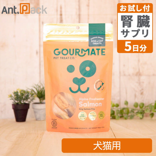 グルメイト フリーズドライトリーツ アルパインサーモン 犬猫用 100g＋5-ALA＋NMNタブ5日分（37041）