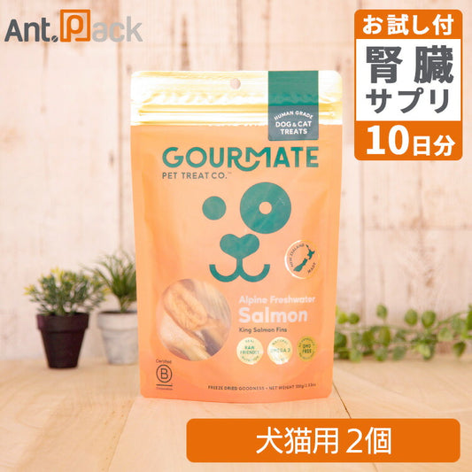 グルメイト フリーズドライトリーツ アルパインサーモン 犬猫用 100g×2個＋5-ALA＋NMNタブ10日分（37041）