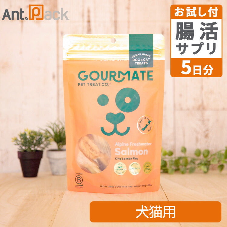 グルメイト フリーズドライトリーツ アルパインサーモン 犬猫用 100g＋腸元気ケストースタブ5日分（37041）