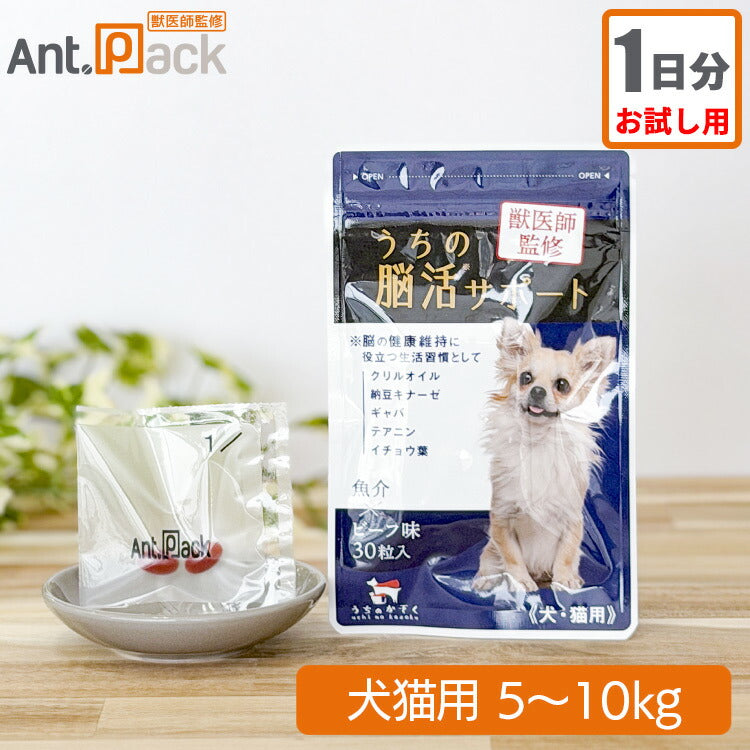 【お試し1日分】和漢 うちの脳活サポート 犬猫用 体重5～10kg 1日2カプセル