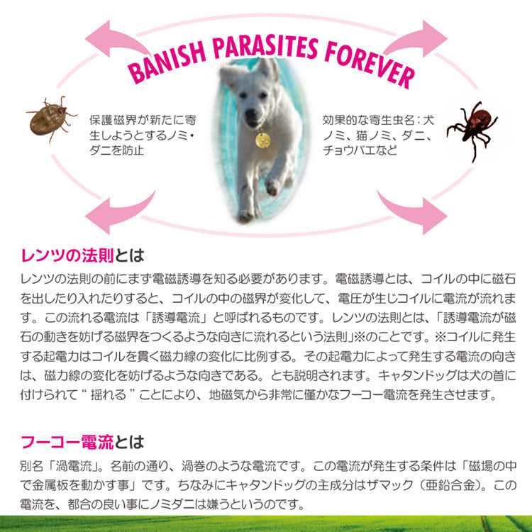 ノミ・ダニ予防 キャタンドッグ 犬猫用【送料無料】ホワイトゴールド