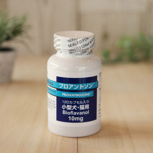 共立製薬 プロアントゾン10mg (小型犬・猫用）