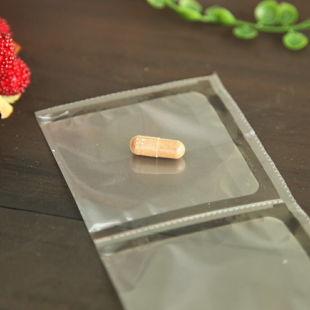 プロアントゾン50mg  (大型犬用） 体重22kg～30kg以上　1日1カプセル30日分