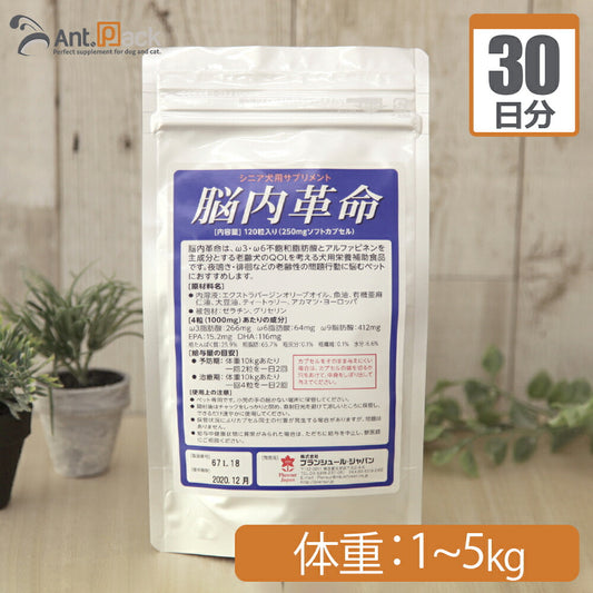 プランシュール 脳内革命 犬用 体重1kg～5kg 1日2カプセル30日分