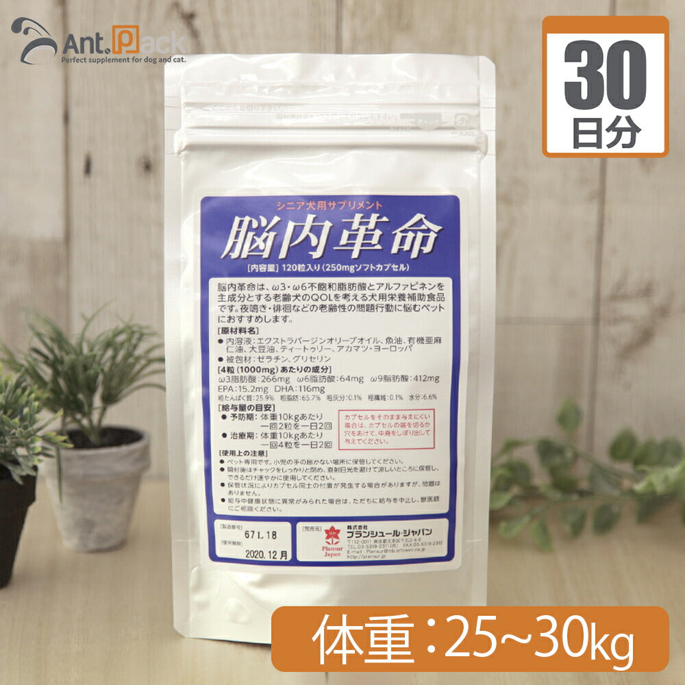 【送料無料】 プランシュール 脳内革命 犬用  体重25kg～30kg 1日12カプセル30日分