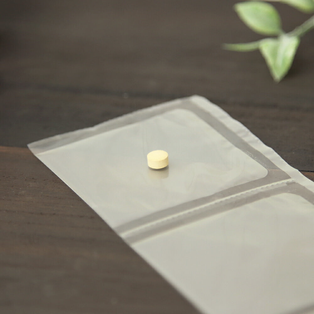 共立製薬 プロラクト鉄タブ 犬用 体重1kg～4kg 1日1粒30日分